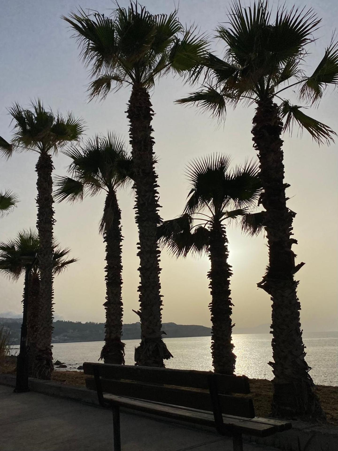 Eftihia Apartments By The Sea Rethymno Esterno foto